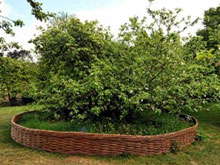 Фото новости