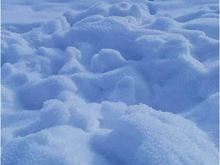 Фото новости