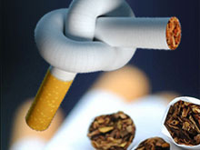 Фото новости