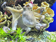 Фото новости